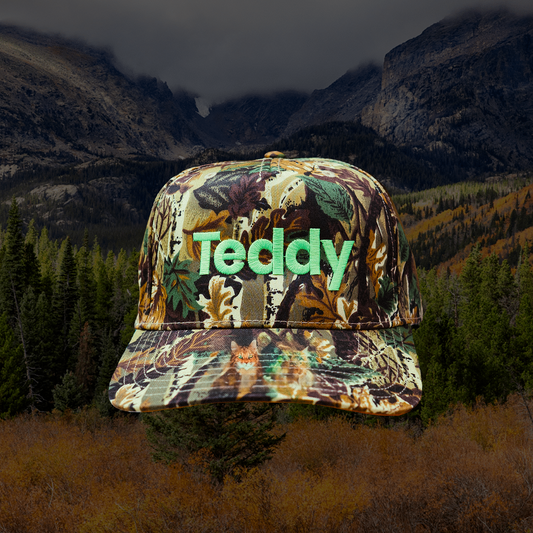 Teddy Hat